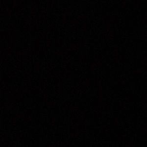 Meet your Posher, Delsie